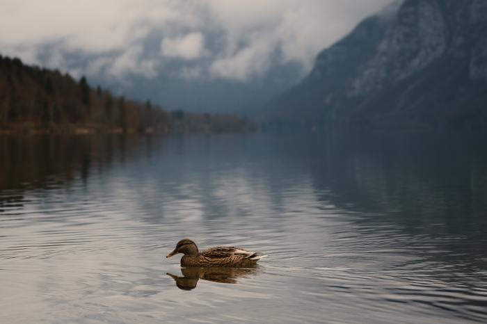 bence-balla-schottner-1aB_gM58k5A-unsplash